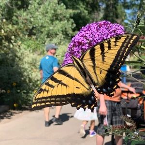 Meet your Posher, Loryn